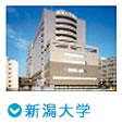 新潟大学