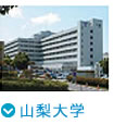 山梨大学